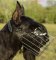 Große Hunde und Riesenschnauzer Beißkorb!