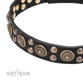 Leather Collar with the Mix of big and small Studs