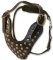 Studded Walking Dog Leather Harness, Top Quality