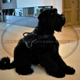 Riesenschnauzer Harness Nylon | K9 Dog Nylon Harness