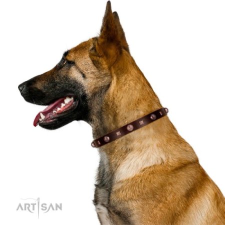 Echtleder Halsband Braun mit Kugeln und Pyramdien