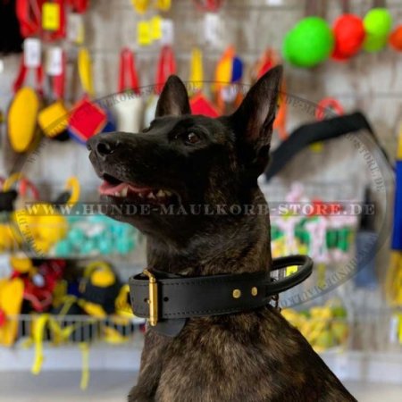Hetzhalsband für Deutschen Schäferhund mit Handschlaufe