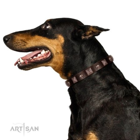 Hundehalsband aus Leder mit Schädel Dekor im Rock Design