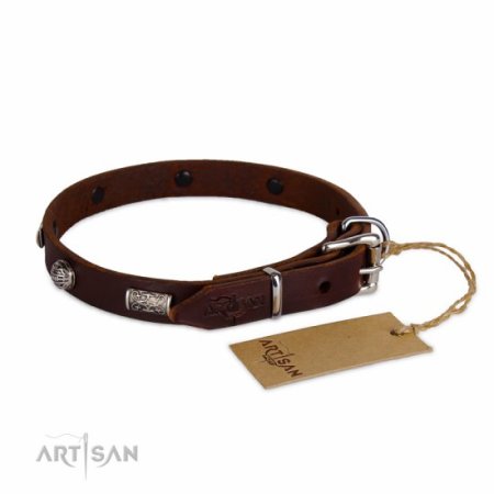 Halsband aus dunkelbraunem Leder mit massiven Nieten verziert
