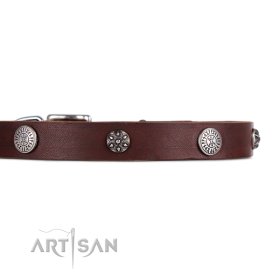 Wertvolles Halsband aus Leder in Braun mit Nieten verziert