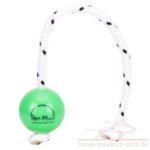 Top-Matic Fun Ball Mini grün für Kleinhund und Junghund