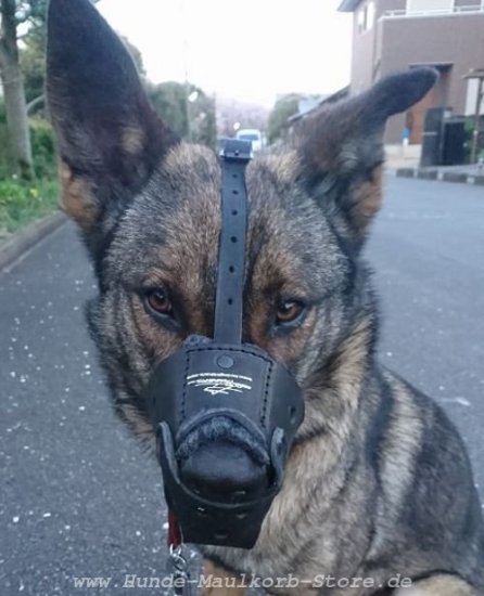 Maulkorb aus Top-Qualität Leder für Deutschen Schäferhund