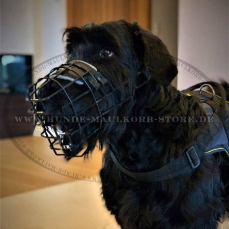 Basket Muzzle for Riesenschnauzer