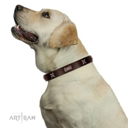 Exklusives Hundehalsband mit Sternen und Platten aus Nickel