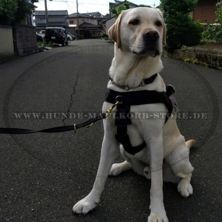 Brustgeschirr aus strapazierfähigem Nylon für Labrador