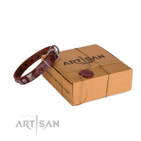 Hundehalsband aus Leder mit Schädel Dekor im Rock Design