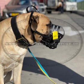 Zweilagiges Lederhalsband für Bullmastiff Trainings