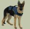 Nylon dog harness for tracking with handle for German Shepherd