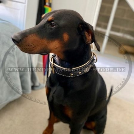 Halsband Leder Breit 2020 | Dobermann Halsband Geflochten ✻✻