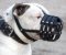 American Bulldog Hundemaulkorb aus Leder mit Luftzirkulation