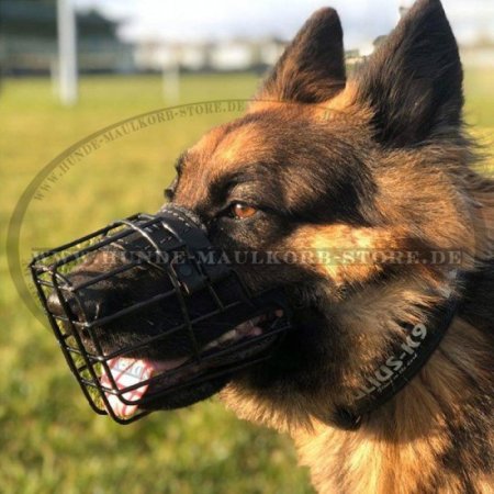 German Shepherd Wire Basket Dog Muzzle, Covered by Black Rubber