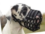 Dog Muzzle Great Dane | Leather Muzzle Perfect Ventilation