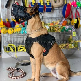 K9 Dog Harness Nylon | Sport Harness for All Dog Breeds