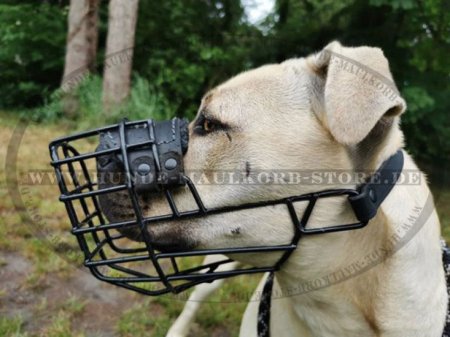Wire Basket Dog Muzzle for American Pit Bull black rubber