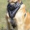 Hundegeschirr Leder 2020 | Golden Retriever Geschirr Bemalt❺