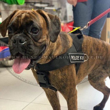 Boxer Brustgeschirr für Sportaktivitäten | Hundegeschirr Nylon