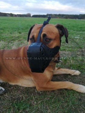 Ledermaulkorb "Dondi plus" für Boerboel Mastiff