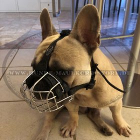 Wire Basket Dog Muzzle for French Bulldog