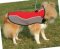 Dog Coat for Sheltie | Waterproof + Fleece