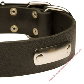 Praktisches Hundehalsband mit ID-Platte für Labrador