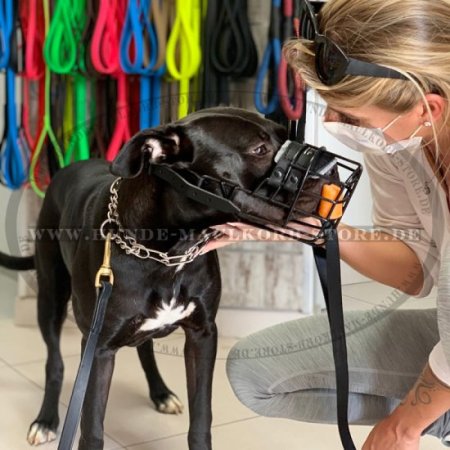 Wire Basket Dog Muzzle, covered with black rubber