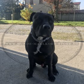HS Dog pinch collar made in Germany