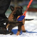 Kleines Welpenspielzeug für Malinois Welpen aus French Linen