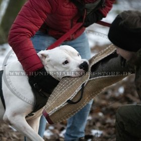 K9 Brustgeschirr mit weicher Filpolsterung für Argentinische Dogge