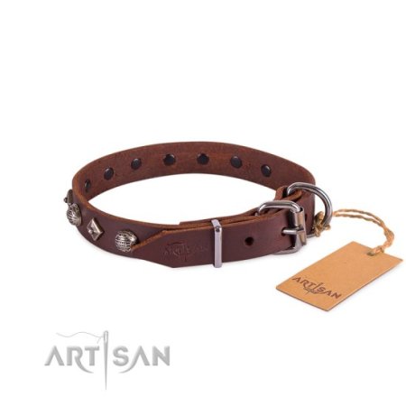 Hundehalsband aus Fettleder im Braun mit stilvollem Dekor