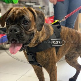 New nylon dog harness - Better control of your Boxer