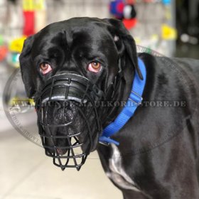 Basket Dog Muzzle, covered by black rubber for Cane-corso