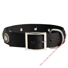 Decorative Dog Collar, Nylon with Silver Conchas