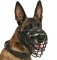 Belgian Malinois Wire Basket Dog Muzzle, covered by black ruber