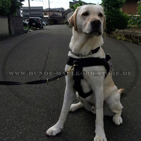 Fährten-Hundeleine für Sporthund und Diensthund