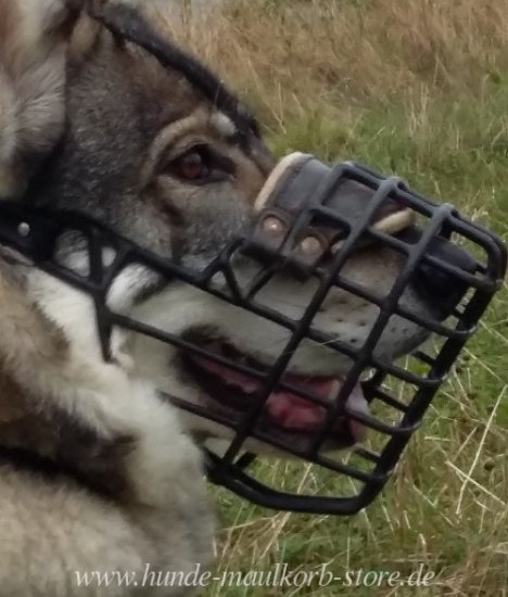 Muzzle for Nothern Inuit Dog, Rubberized Wire