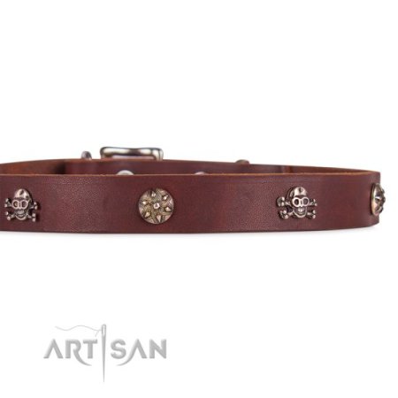 Hochwertiges Lederhalsband mit Totenkopf Dekor 2 cm
