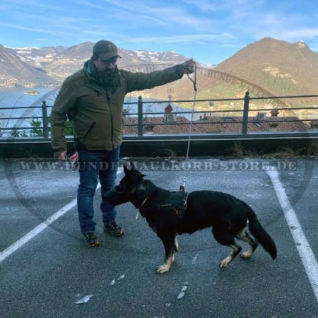 Maulkorb für Malinois aus Leder mit Nylon