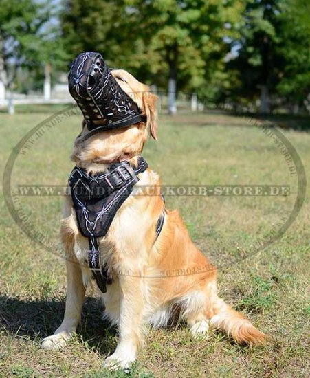 Hundegeschirr Leder 2020 | Golden Retriever Geschirr Bemalt❺