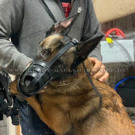 Muzzle for German Shepherd, Leather Dog Muzzle Padded