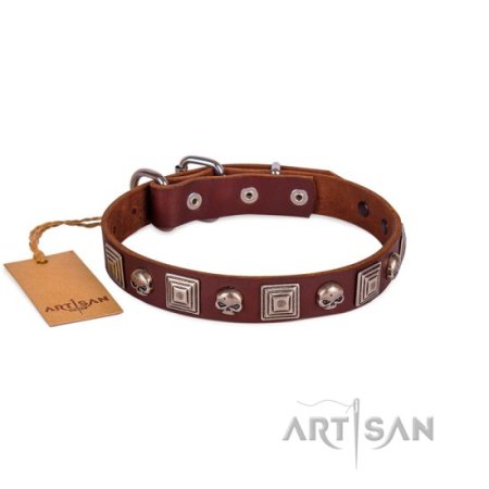 Hundehalsband aus Leder mit Schädel Dekor im Rock Design