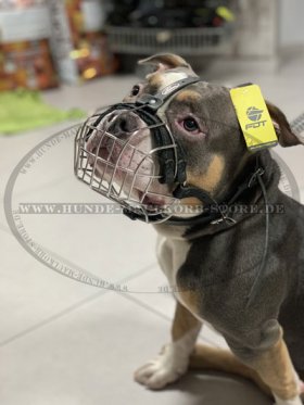 Robuster Hundemaulkorb aus Stahldraht für Bully