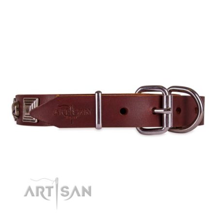 Hundehalsband aus Leder mit Schädel Dekor im Rock Design