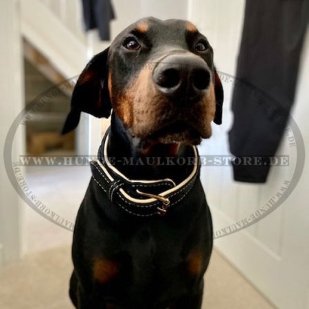 Halsband Leder Breit 2020 | Dobermann Halsband Geflochten ✻✻