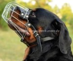 Rottweiler Drahtmaulkorb ❥