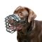 Basket Dog Muzzle for Labrador, Covered by Black Rubber
